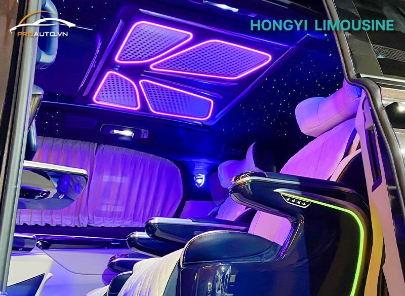 Độ trần xe kiểu Butterfly cho Hyundai Custin